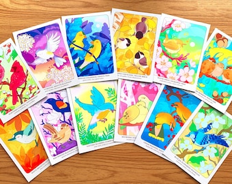 May include: A collection of illustrated bird cards featuring various species like Northern Cardinal, Eastern Bluebird, and Mourning Dove. Each card showcases a colorful bird in a natural setting, with the bird's name printed on the card.