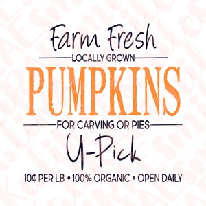 Farm Fresh Pumpkins | Digital Download | Instant Download | Sublimation | SVG & PNG | Fall Farmhouse