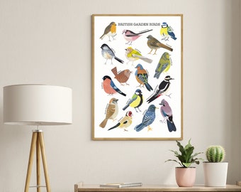 A4 British Garden Birds Poster-Birdwatcher Bird Poster-Illustrated British Birds Print- Mother’s Day gift-List of Birds-Garden Birds Chart