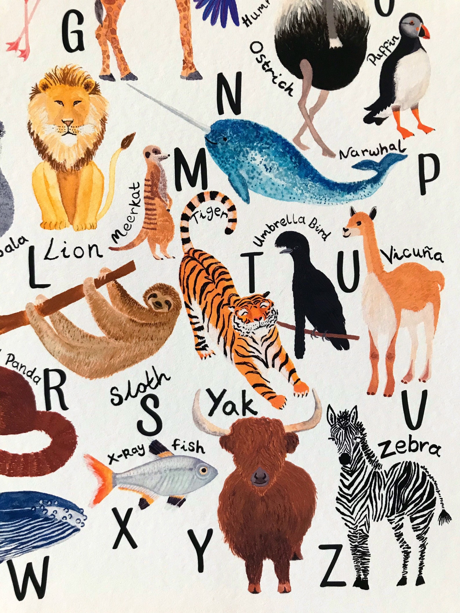 Animal Alphabet the AZ Animal Alphabetjungle Printnursery Etsy India