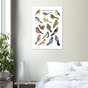 British Garden Birds Fine Art Print
