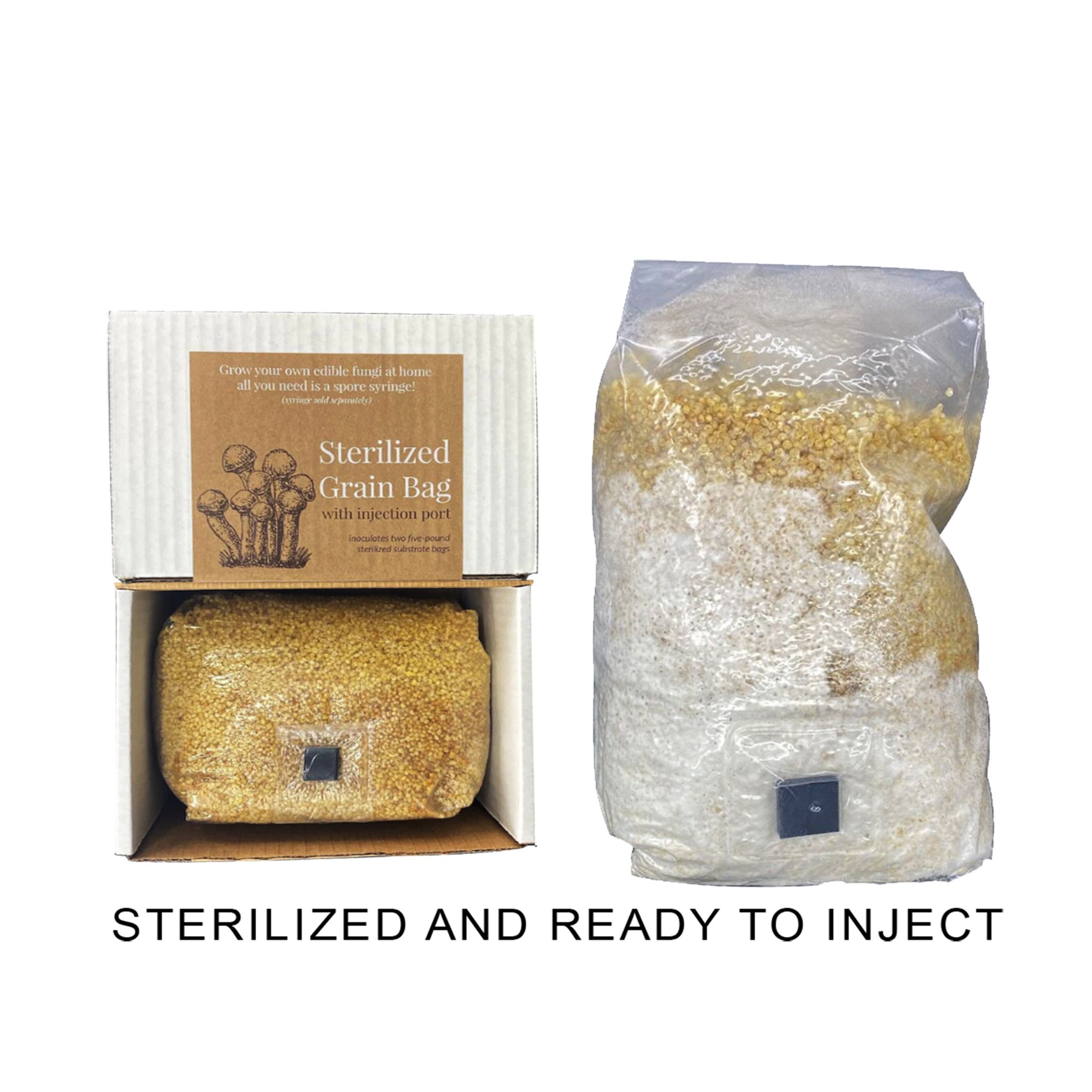 Bulk Bundle Deal 3 Pounds Sterilized Grain Bag & 6 Pounds Pasteurized