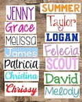 Name Decals - Personalized Vinyl Stickers - Custom Waterproof Labels for Water Bottles, Gifts, Tumblers, Cups, Back to School Supplies