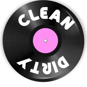 2.25&quot; Vinyl Record LP Pink Label Retro Design Clean Dirty Dishwasher Magnet