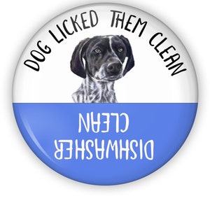Imán para lavavajillas personalizado de 2,25" con diseño de perro Pointer Alemán de Pelo Corto lamiéndolos hasta dejarlos limpios.