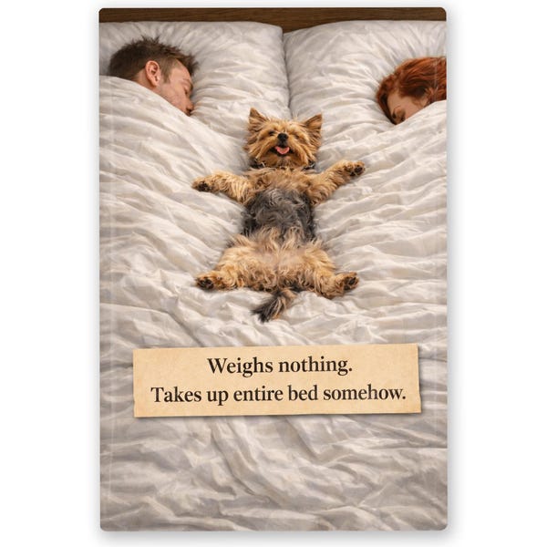 Funny Yorkshire Terrier Magnet: Bed Hog Yorkie Gift