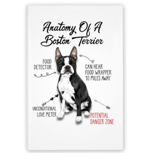 Funny Boston Terrier Magnet: Anatomy of a Dog - Pet Humor Kitchen Decor