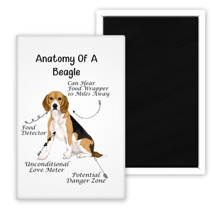 Anatomy Of A Beagle Funny Dog Phrases Fridge Magnet