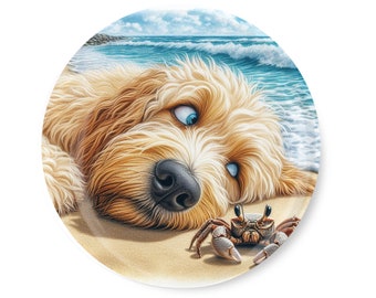 3.5" Funny Faced Goldendoodle At The Beach With a Crab Decorative Novelty Magnet