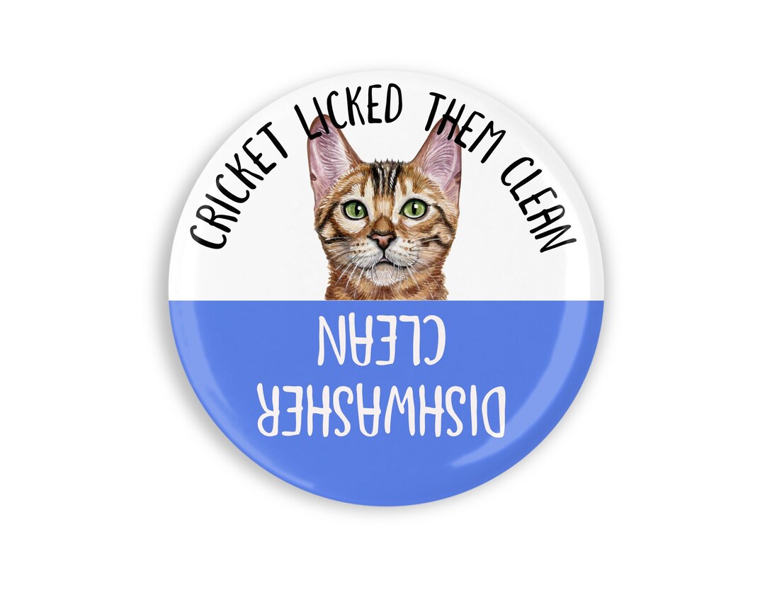 Pick Your Cat Cute and Funny Cat Licked the Dishes Clean Dishwasher