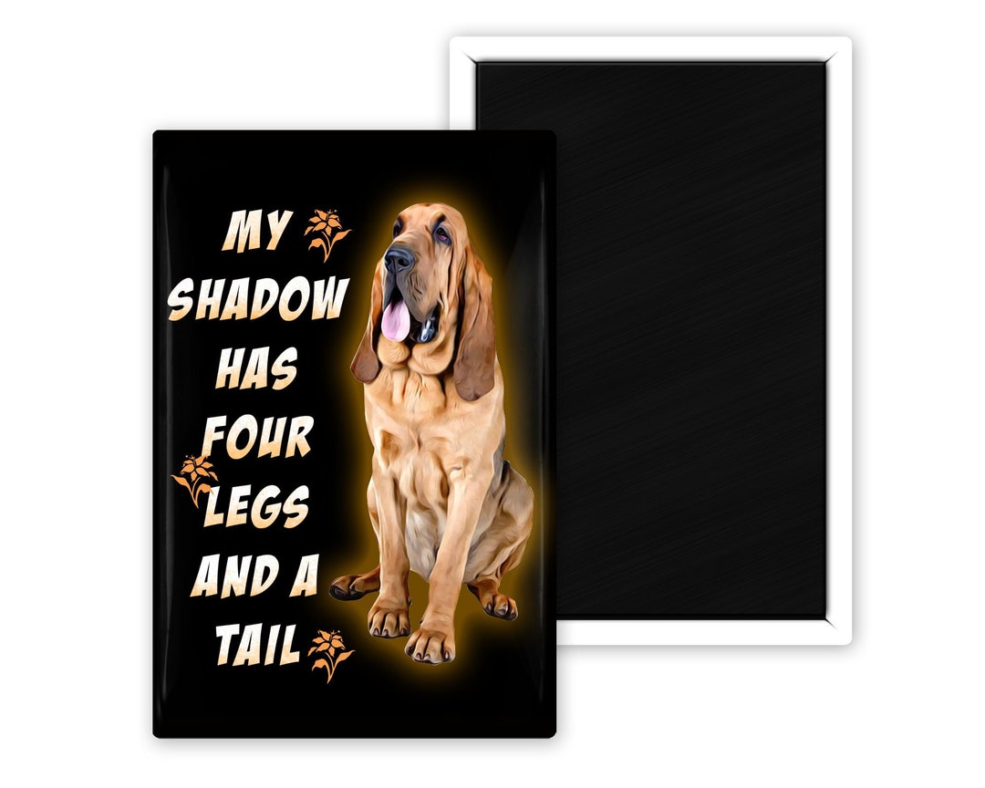 Adorable Bloodhound My Shadow Has Four Legs and A Tail 2 X 3 Magnet -   Canada