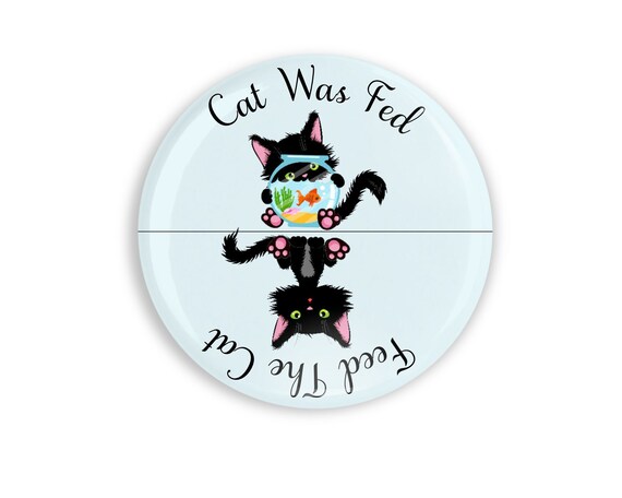 cat feeding reminder