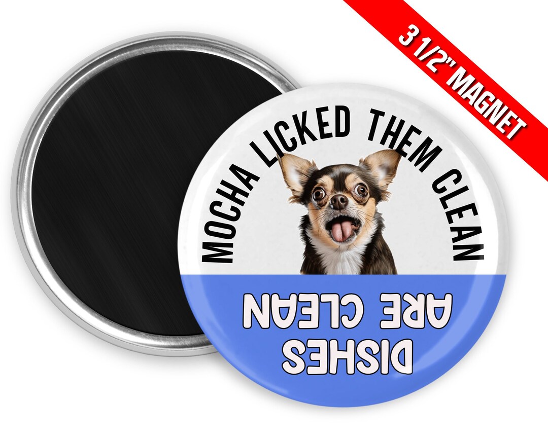 3.5 Cute and Funny Faced Chihuahua Dog Licked Them Clean Dirty