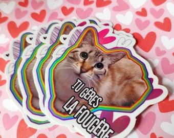 Cute holographic cat sticker