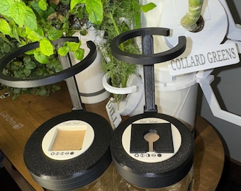 May include: Two clear glass jars with black lids and attached black metal hoops. The lids have white square inserts and text. The jars sit on a wooden surface, with green plants in the background. One lid reads "Maple Laurel" and the other reads "Red Jatrai".