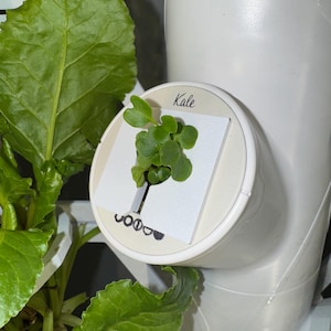 Compatible with Gardyn Systems yPod Algae Cover Mold Cover