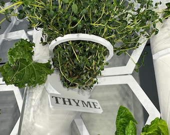May include: A close-up of a vertical garden with a white hexagonal frame. A green thyme plant is growing in a white pot with a label that reads "THYME".