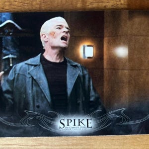 Aimant de réfrigérateur cartes à collectionner recyclées Buffy contre les vampires Spike
