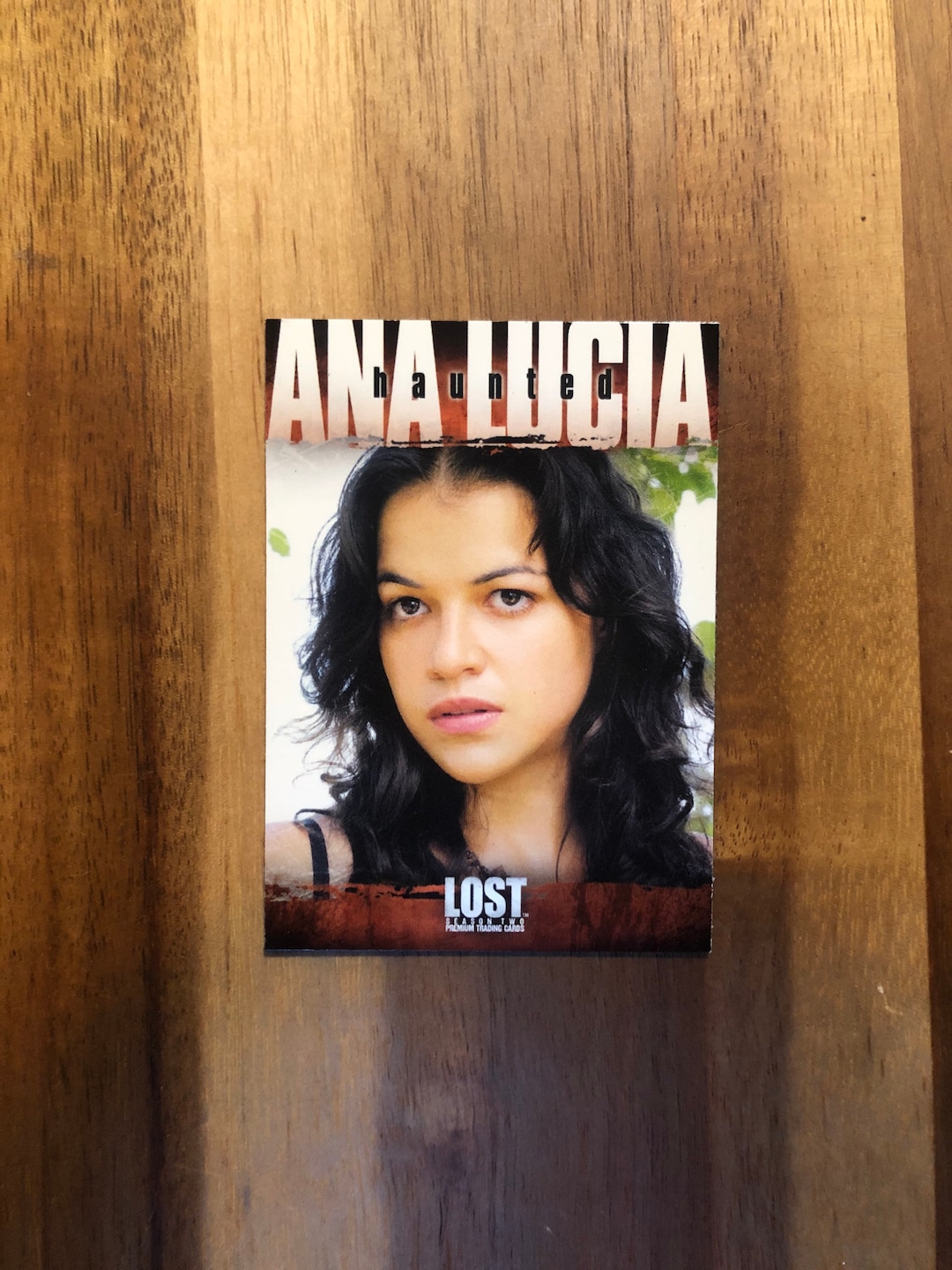 Ana Lucia Lost Recycled Trading Card Fridge Etsy