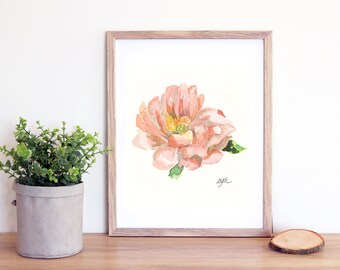 Single Coral Peony Watercolor Print, Digital Download from Original Painting