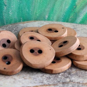 Puede incluir: Un montón de botones de madera natural con dos agujeros cada uno. Los botones son de color marrón claro y tienen un acabado liso y pulido.