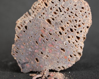 Dinosaur Bone, Ring Making Supplies, Dinosaur Bone Fragments, Jewelry Inlay, Inlay Material. #2