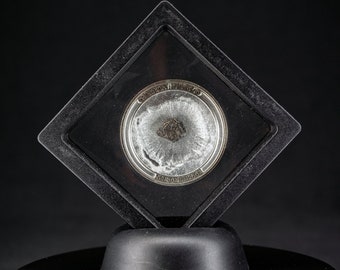 Canyon Diablo Custom Coin with Meteorite