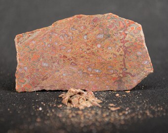 Dinosaur Bone, Ring Making Supplies, Dinosaur Bone Fragments, Jewelry Inlay, Inlay Material. #5