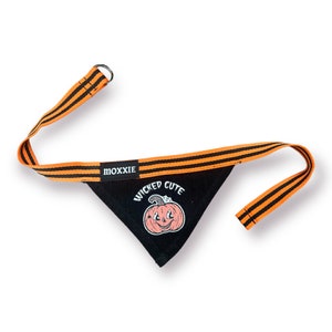 May include: Black dog bandana with orange stripes and a pumpkin graphic that says "Wicked Cute".
