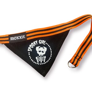 May include: Black dog bandana with orange and black striped trim. The bandana features a white graphic of a skeleton dog with the text "Spooky Girl" in a circle.