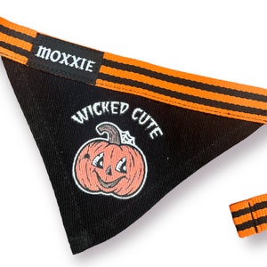 May include: Black and orange dog bandana with the text "Wicked Cute" and a cartoon pumpkin with a smiling face.