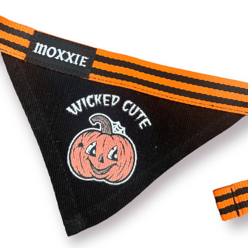 May include: Black and orange dog bandana with the text "Wicked Cute" and a cartoon pumpkin with a smiling face.