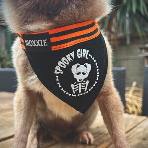 May include: A brown and white dog wearing a black and orange bandana with the text "Spooky Girl" and a white skeleton graphic. The bandana also has the text "Moxxie" on it.