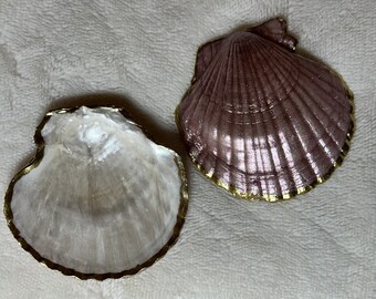 Puede incluir: Dos conchas, una blanca y otra rosa, con ribete dorado. Ambas conchas están abiertas y tienen un acabado liso y brillante.