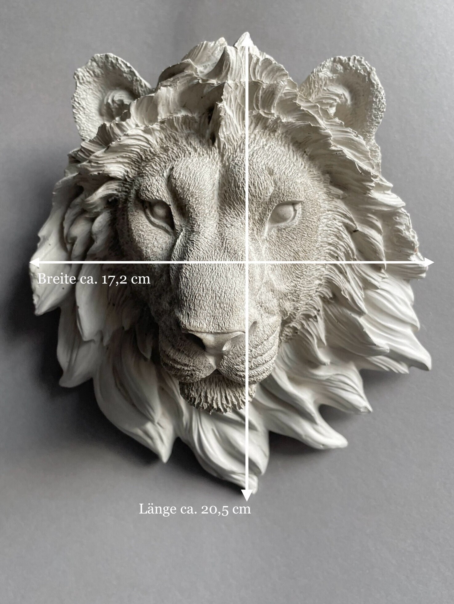 Décoration Murale Tête De Lion En Résine – Sculpture Réaliste Pour Salon, Bureau Ou Entrée