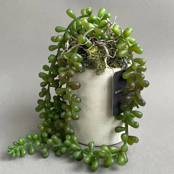 Senecio/pea plant artificial, in a concrete pot - artificial succulent - durable plants - permanent floristry - artificial cacti