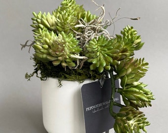 Sedum artificiale, in vaso di ceramica - succulenta artificiale - piante durevoli - floristica permanente - cactus