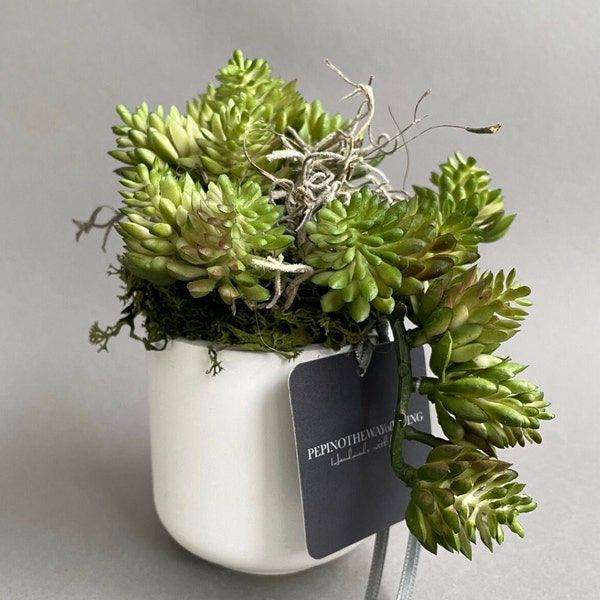 Sedum artificial, en maceta de cerámica - suculentas artificiales - plantas duraderas - floristería permanente - cactus