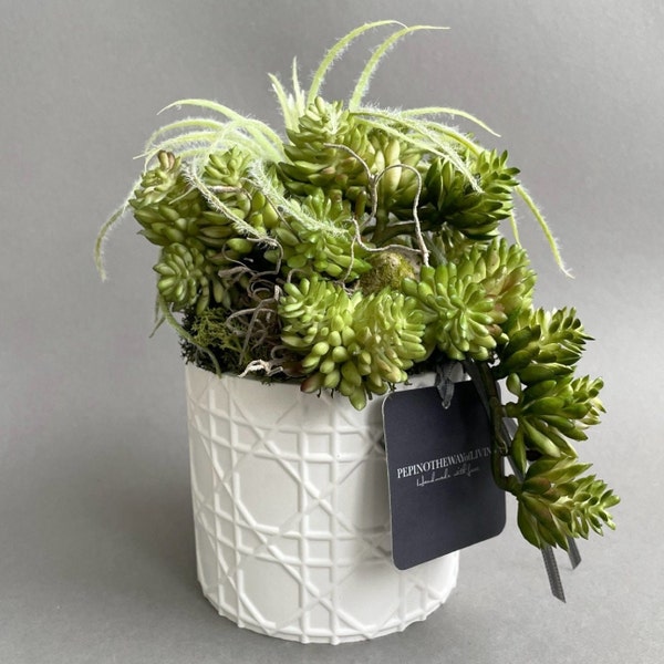 Artificial sedum and tillandsia - artificial succulents - durable plants - permanent floristry - cacti - artificially dried tillandsia