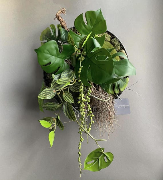 Moosbild handgefertigt  Wanddeko aus Naturmaterialien und Kunstpflanzen,  pflegefrei fr Wohnzimmer, Bro und Flur - Etsy.de