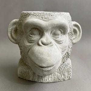 Maceta de hormigón con cabeza de mono — maceta de hormigón hecha a mano — portabolígrafos o pinceles — idea de regalo original