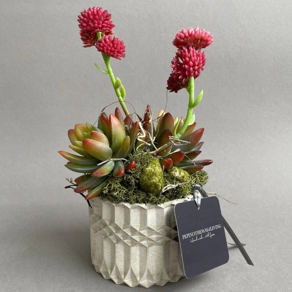 Plantes succulentes avec fleurs, artificielles dans des pots en béton - plantes succulentes artificielles - plantes durables - fleuristerie permanente - cactus