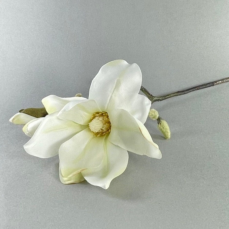 Magnolie künstlich