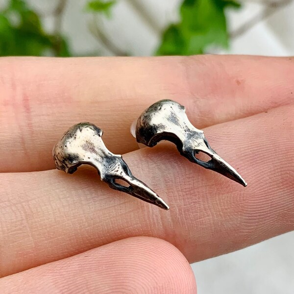 Crow scull stud earrings, crow Earrings, crow stud Earrings in Sterling Silver, bird Earrings, Nature Inspired Animal Earrings, crow jewelry