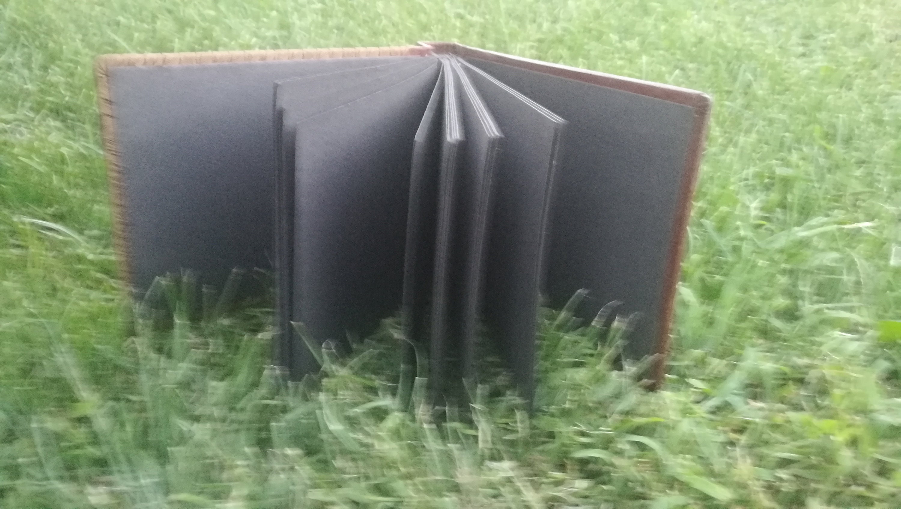 Anniversary Gift / Photo Album / Photo Memories/vintage Photos Etsy