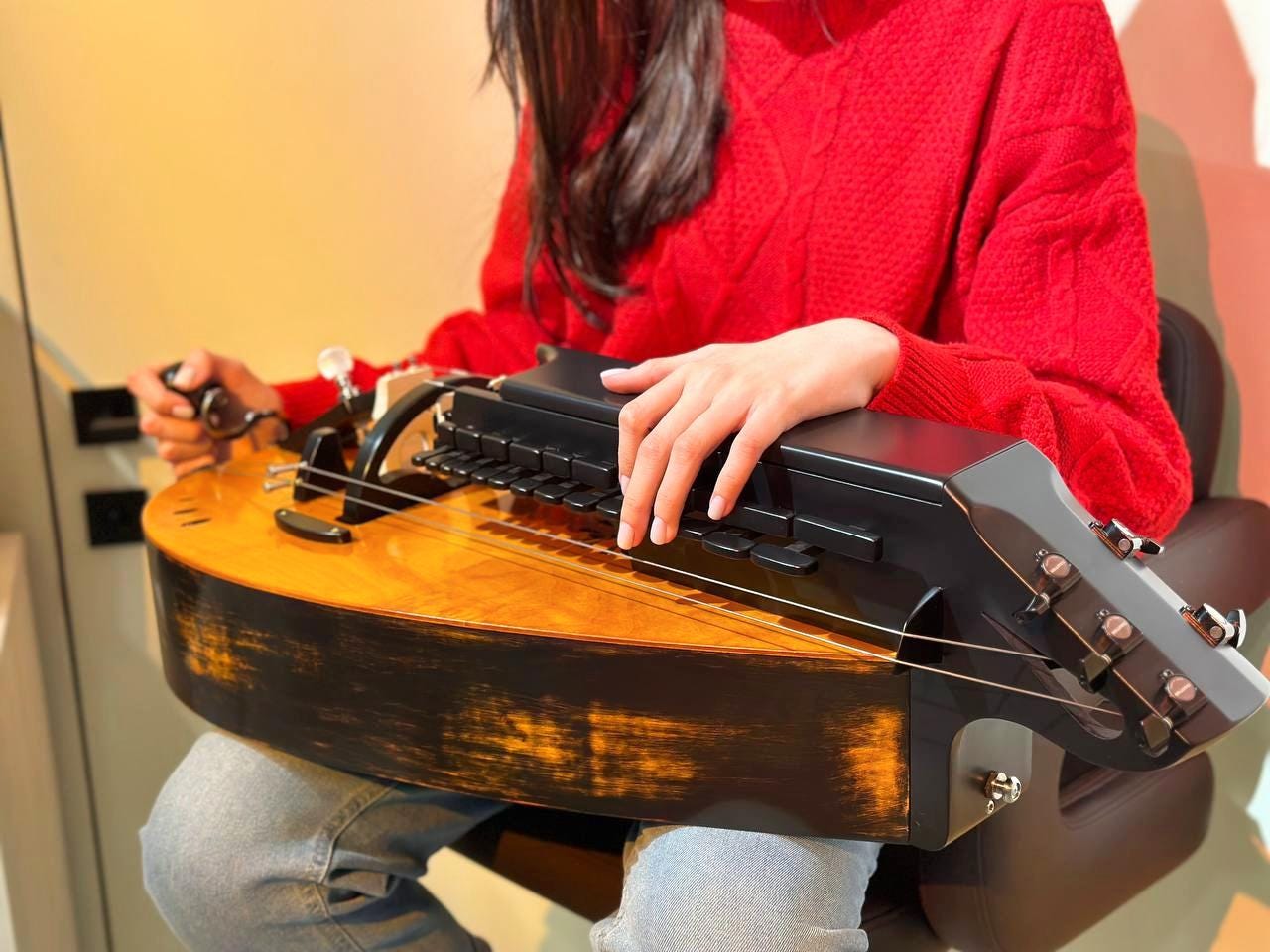 Handmade Hurdy Gurdy Saga Model With Trompette, Ukrainian Lyre