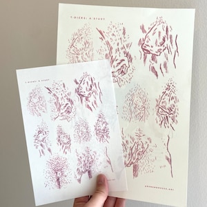 T D1ck Print | Trans Man Nude | Sexy Kink Trans Queer Artwork | Line