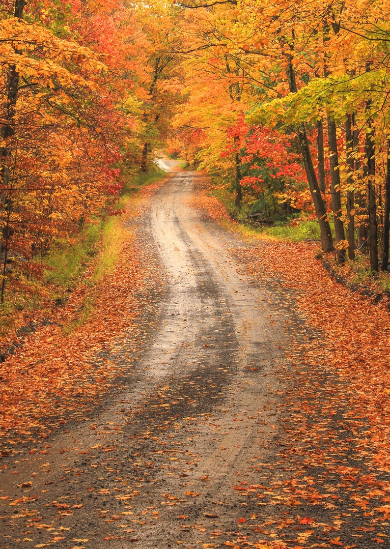 Autumn Country Road - Etsy