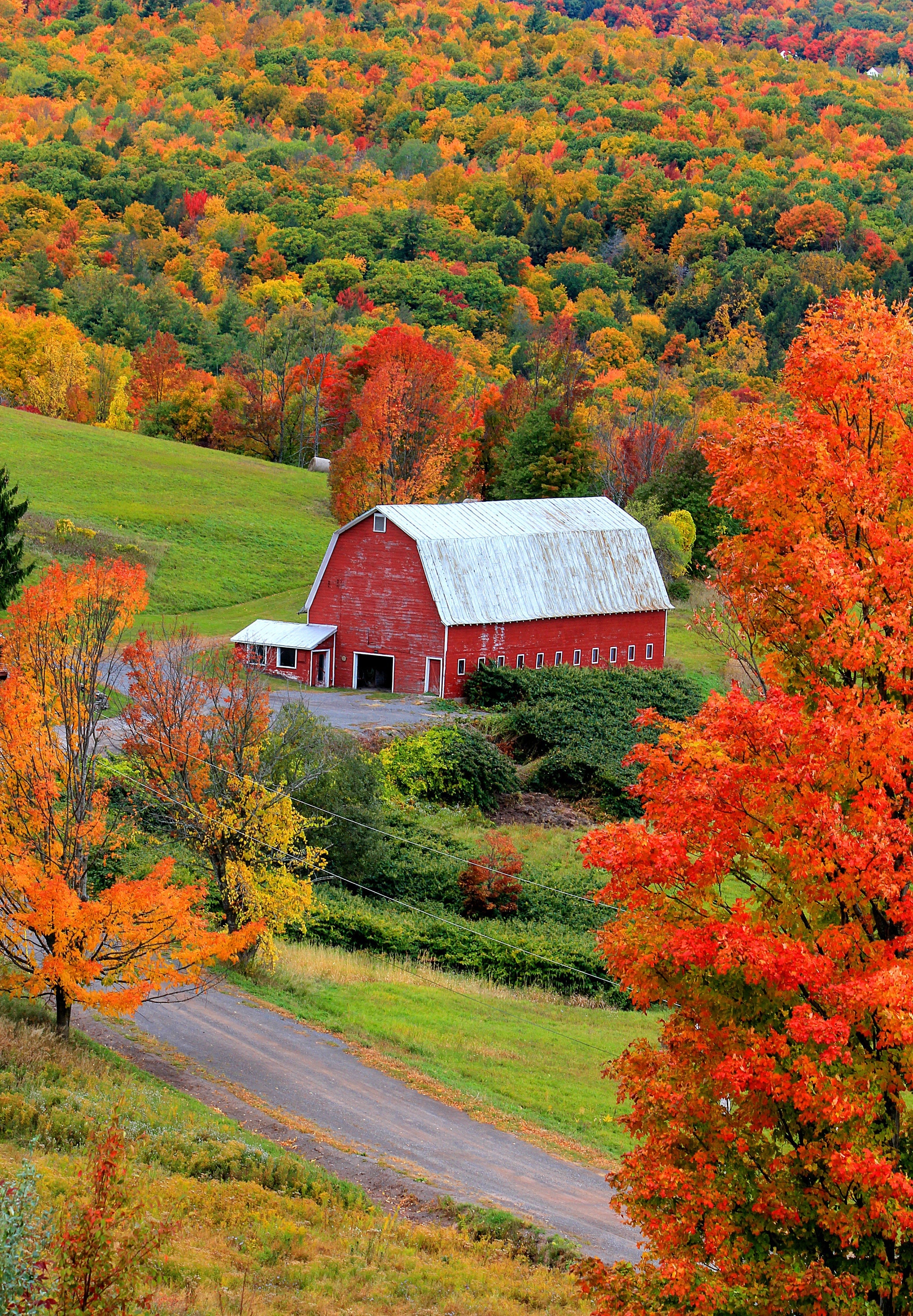 Autumn Barn - Etsy Autumn Barn - Etsy