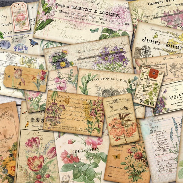 Botanical Ephemera Paper Pack, Printable Scraps, Botanical Bundle, Vintage Style, Journal Inserts, Junk Journal, Digital Downloads